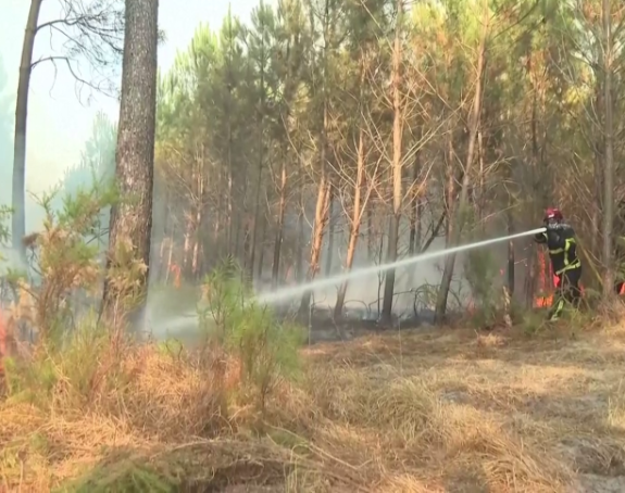 Na području Pule u periodu od 12 sati buknulo više požara