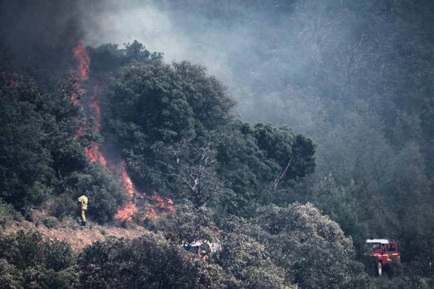 Gore hektari šume, angažovani i helikopteri MUP-a Srbije
