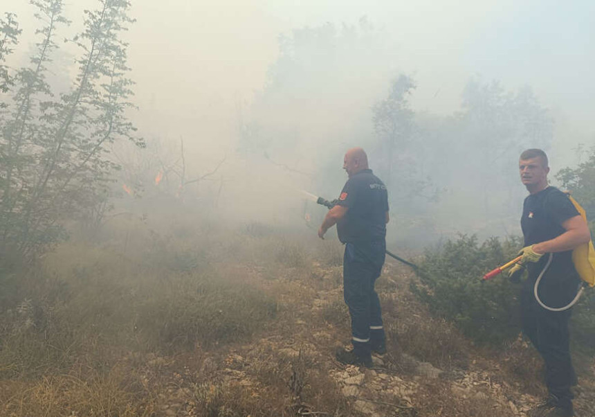 Trebinje: Vatra stigla do preduzeća "Hercegovina putevi"