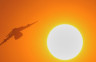 Rekordne temperature donijele sušu i požare širom Evrope