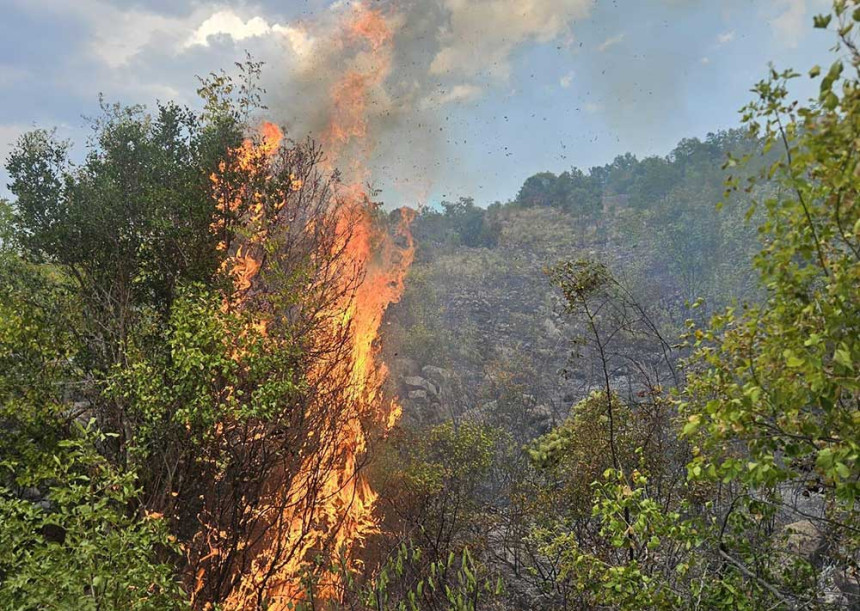 Veliki požar kod Gruda: U pomoć stigli Air Tractori