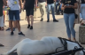 Sinj: Konji se srušili na klizavom pločniku (video)
