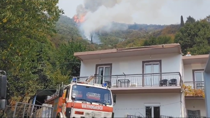 Požar kod Herceg Novog se širi, vatru gase i helikopteri