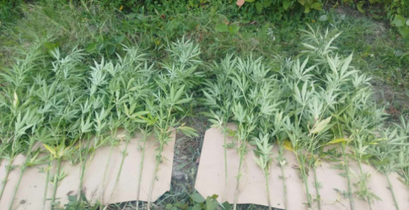 Uhapšene dvije osobe u Doboju, pronađena droga