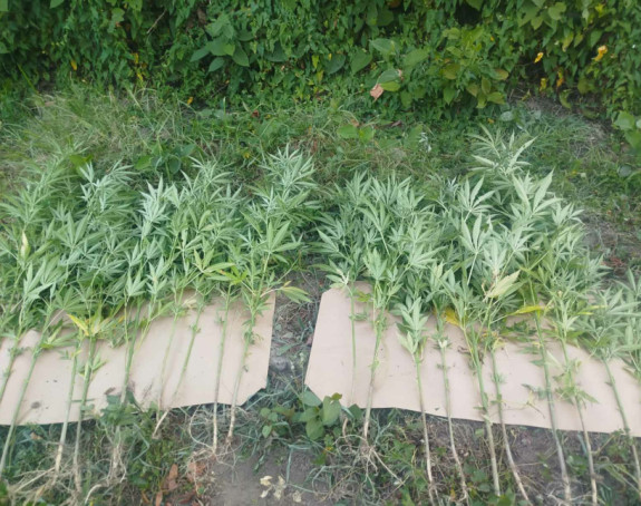 Uhapšene dvije osobe u Doboju, pronađena droga