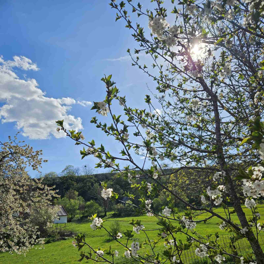 Prije podne biće sunčano i vruće, popodne oblačno