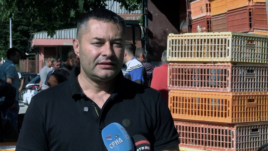 Страшно да се електродистрибуција бави живинарством!