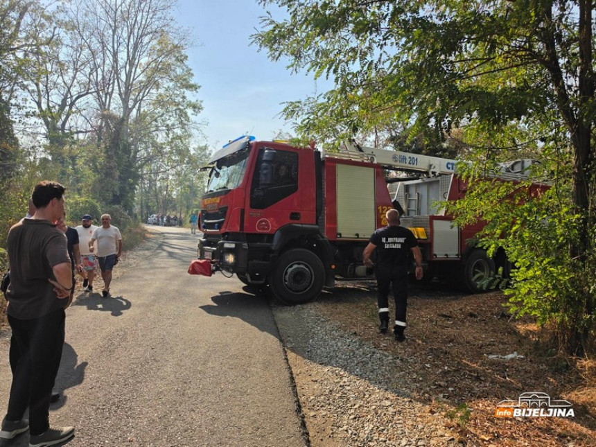 Požar u Amajlijama: Velika je površina, cijelu noć ostajemo ovdje 