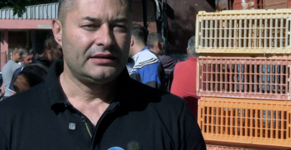Страшно да се електродистрибуција бави живинарством!