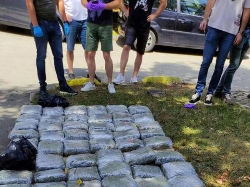 Акција ФУП-а : Заплијењена 73 килограма марихуане