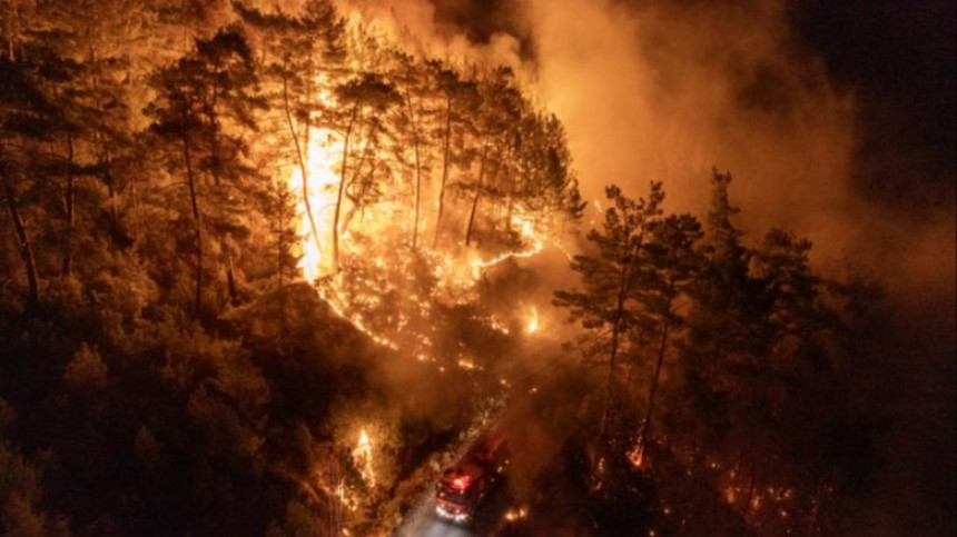 Hapšenja zbog izazivanja požara i velika šumska žarišta