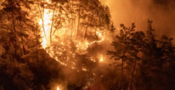 Hapšenja zbog izazivanja požara i velika šumska žarišta