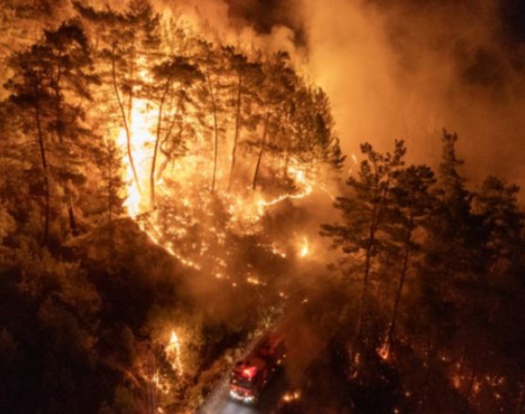 Hapšenja zbog izazivanja požara i velika šumska žarišta
