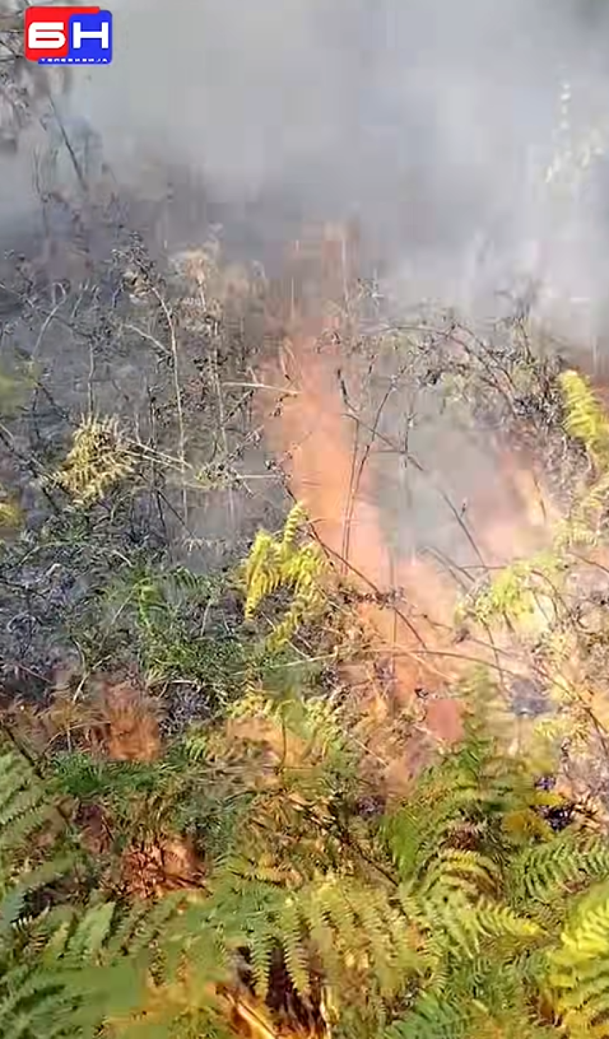 Požar u Osojnici na Ozrenu, gori 200 duluma šume (VIDEO)
