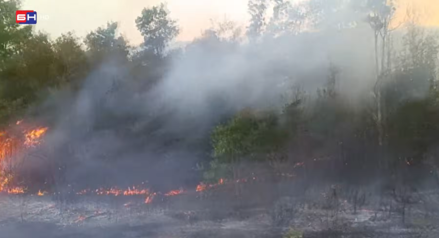 Požar na Zubcima pod kontrolom, ekipe ostaju na terenu
