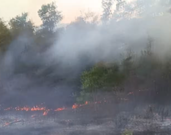 Požar na Zubcima pod kontrolom, ekipe ostaju na terenu