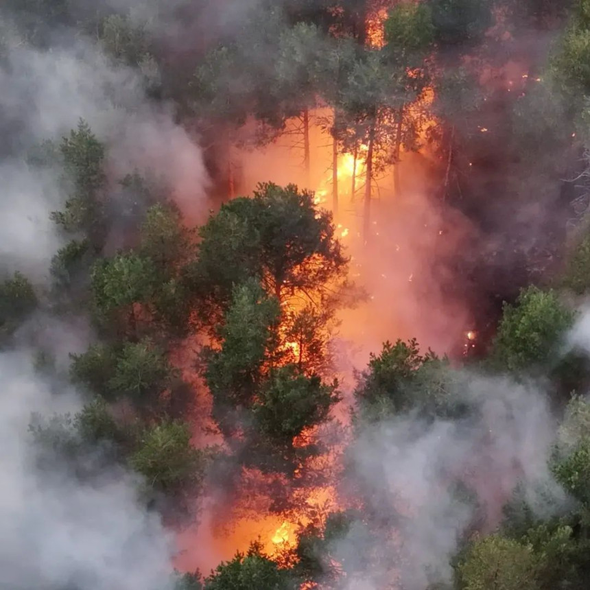 На Требевићу се разбуктао пожар, ватрогасци на терену