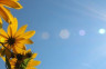 Sunčano i vruće vrijeme, temperatura do 37 stepeni
