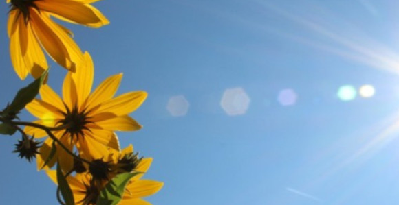 Sunčano i vruće vrijeme, temperatura do 37 stepeni