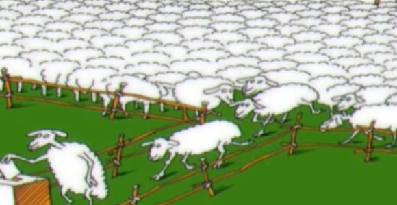 Od koka do ovaca: Kako se u Palama kupuju glasovi?