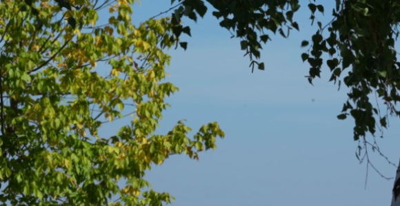 Danas sunčano i prijatno toplo, temperatura do 28°C
