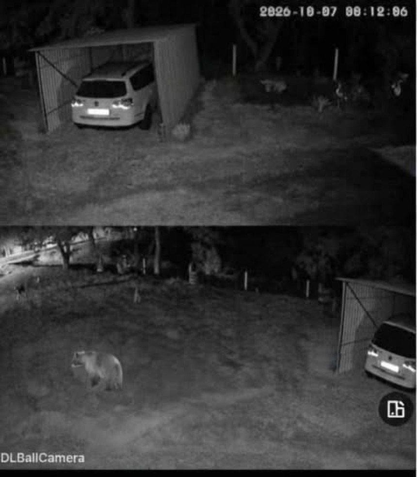 Medvjed ponovo viđen kod Bugojna, poslato upozorenje