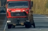 Medo izašao na put i igrao se s teretnjakom (VIDEO)