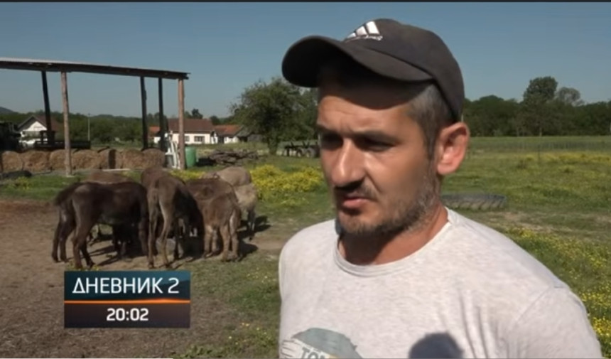 Апсурд у Добоју: Због „анонимне дојаве“ инспекција у контроли магарећег млијека које је до скоро хвалио и прорежимски РТРС