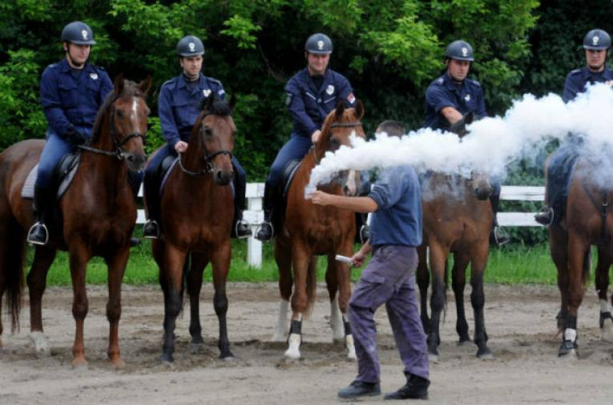 Koliko će koštati policijski konj?!