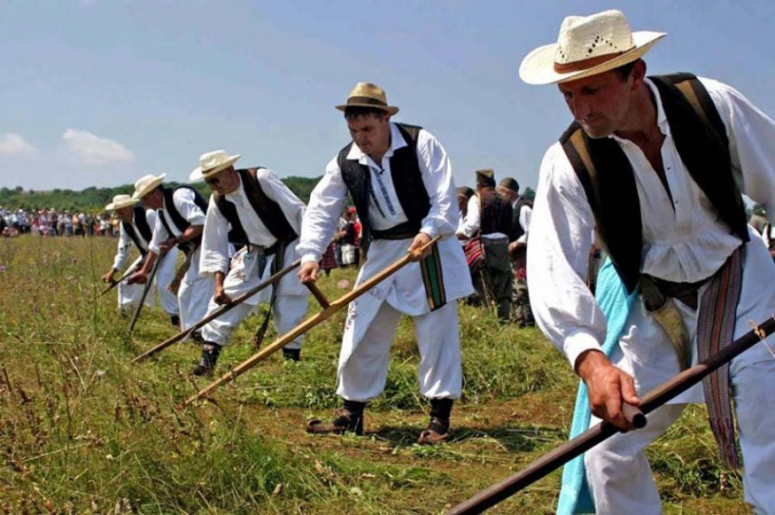 Данас традиционална косидба на Балкани 