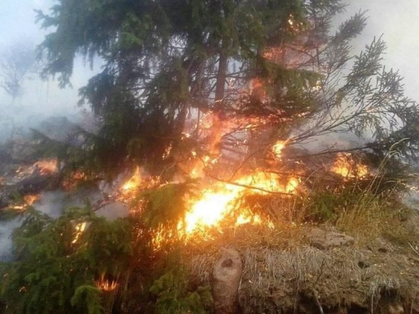 "Иљушин" почео да гаси пожар на Старој планини