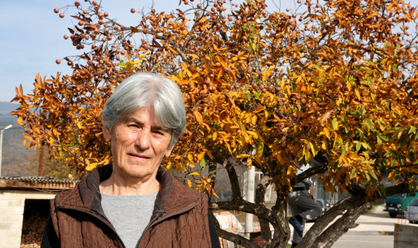 Višegrad: Najljepše stablo mušmule