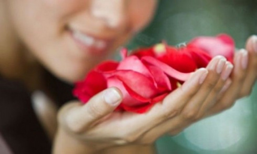 Latice ruže liječe srce i kožu