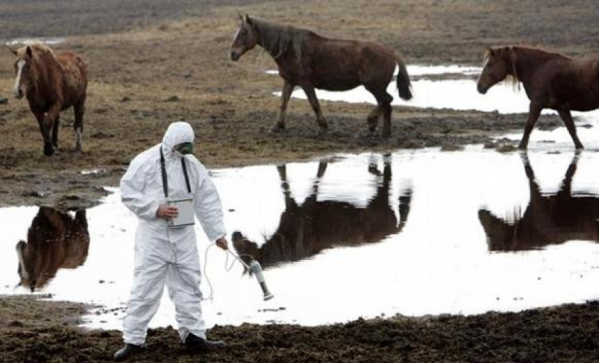 Povratak životinjskih vrsta u Černobilj 