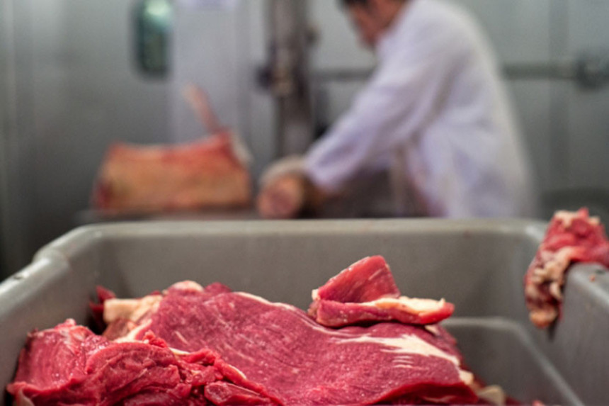 Ješćemo meso koje ne podrazumijeva klanje životinja?