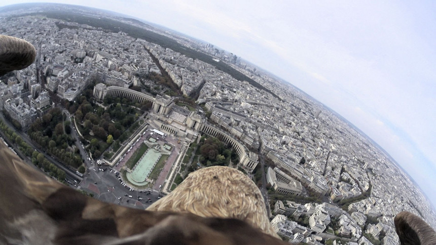 Париз из угла једног орла 