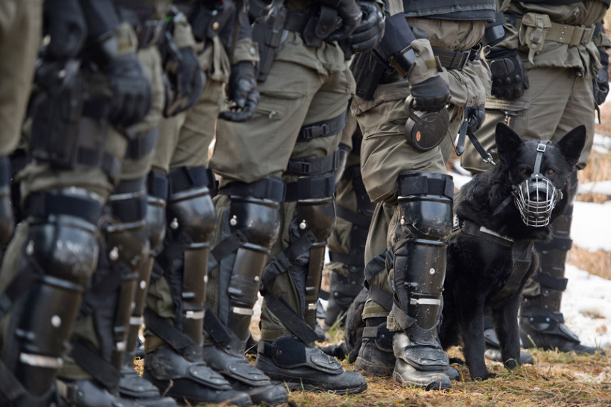 Војни пси су ноћас усмртили официра код Беча  