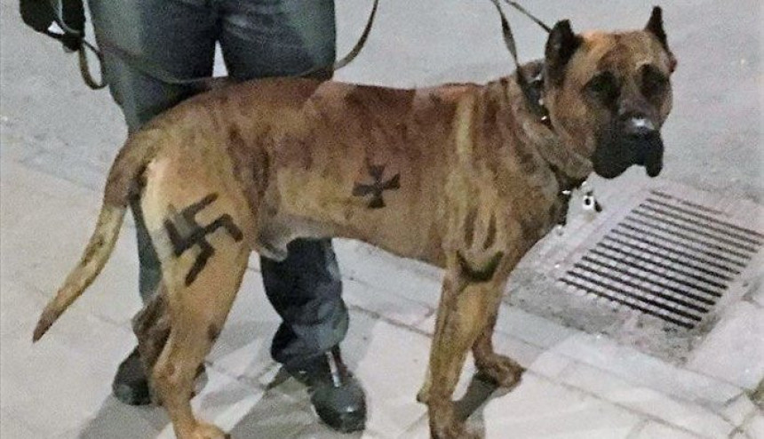 Нацртао кукасти крст на псу  