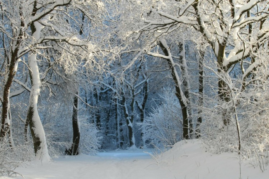 Прогноза: Блага, мирна зима на Балкану