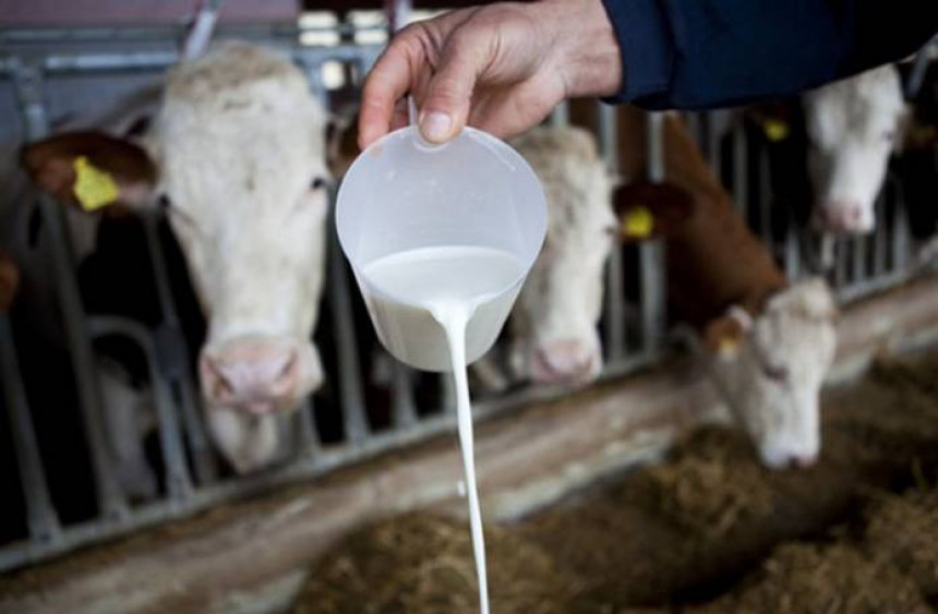 Hiljadu mljekara manje u Srpskoj