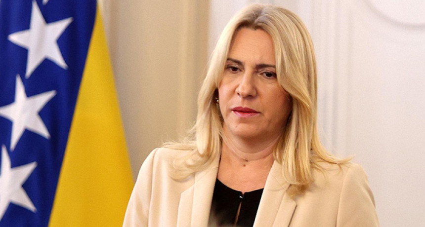 Cvijanović tvrdi: Predsjedništvo nije donijelo odluku