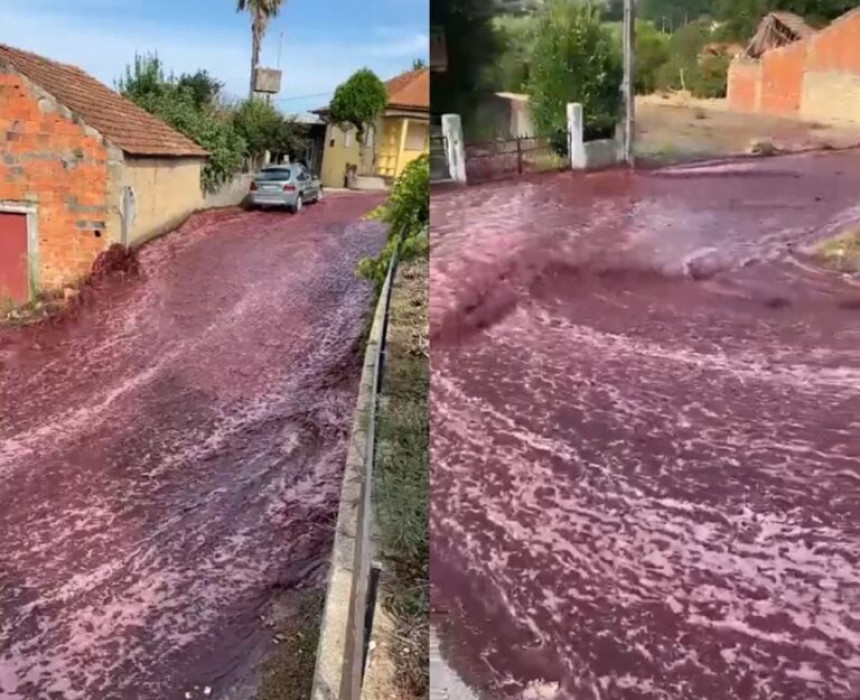Reka vina teče potruglaskim gradićem! (VIDEO)
