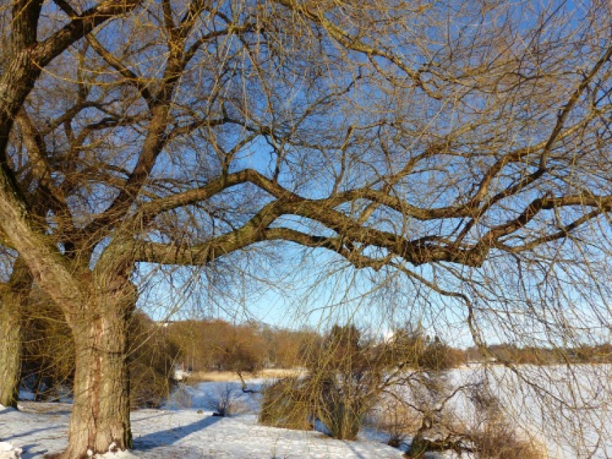 Danas oblačno i hladnije, popodne nove padavine
