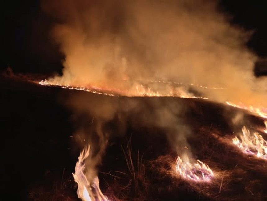 Požar kod Gacka prijeti borovoj šumi staroj 70 godina