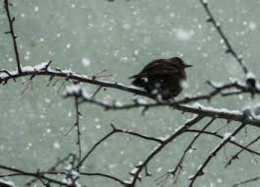 Vrijeme hladno i oblačno, snijeg na planinama
