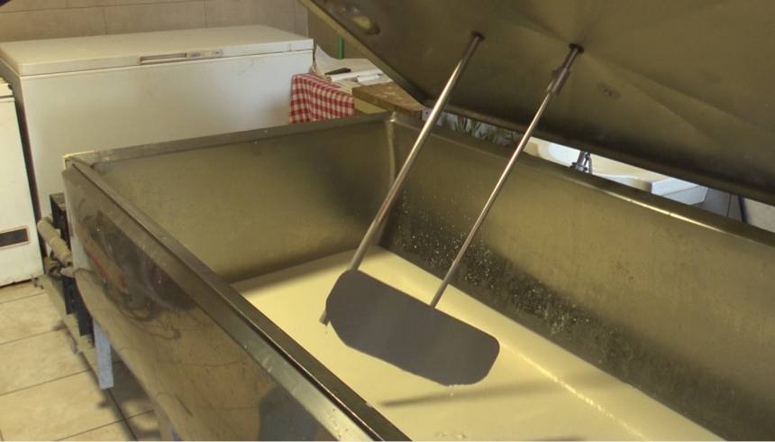 Proizvođača mlijeka u Srpskoj sve manje: Ko je kriv?