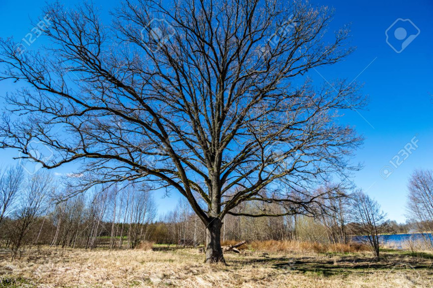 Narednih dana toplo i sunčano, živa se penje i do 20 °C