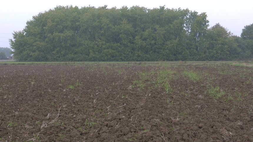 Vlada još duguje poljoprivrednicima iz prošle godine