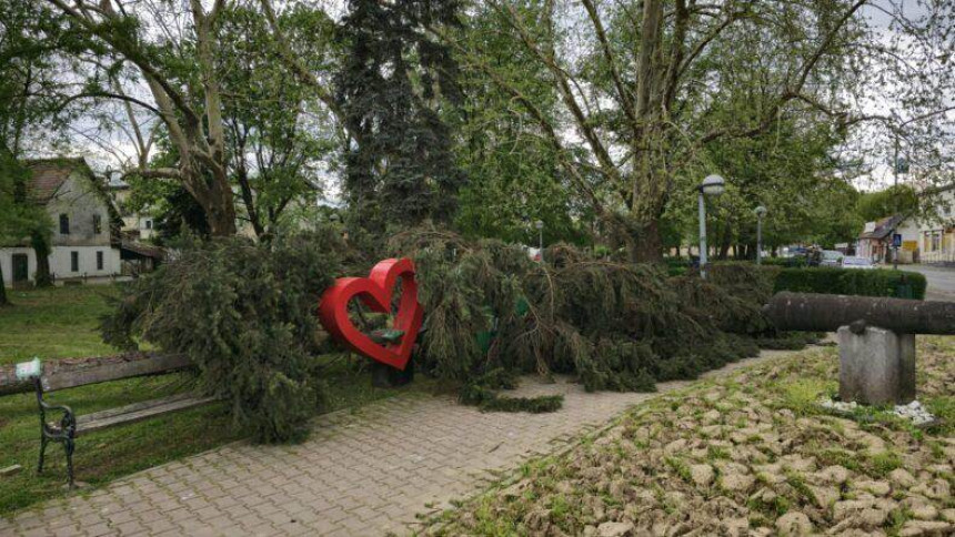 Jako nevrijeme u Kozarskoj Dubici: Vjetar rušio stabla