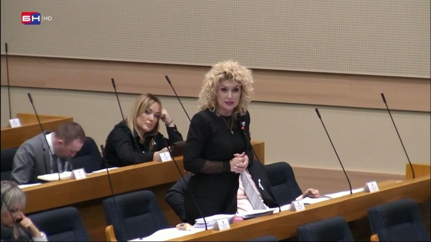 Pokušava li Glavna služba za reviziju da se ogradi od propasti elektroenergetskog sistema?